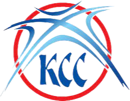 塞尔女联比赛图标